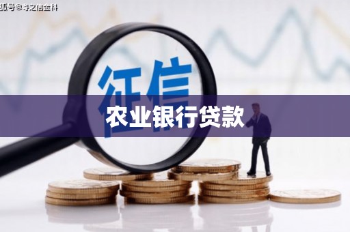 西海岸农业银行贷款