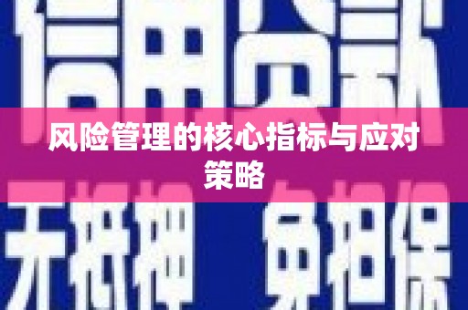 宁夏风险管理的核心指标与应对策略