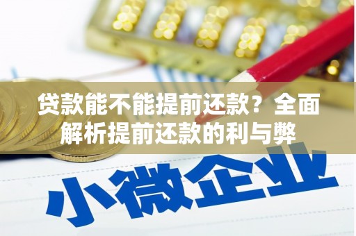 桃江贷款能不能提前还款？全面解析提前还款的利与弊