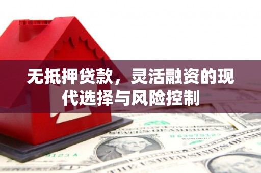 萍乡无抵押贷款，灵活融资的现代选择与风险控制