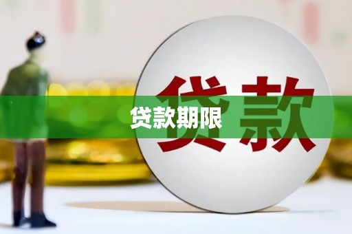 新园贷款期限