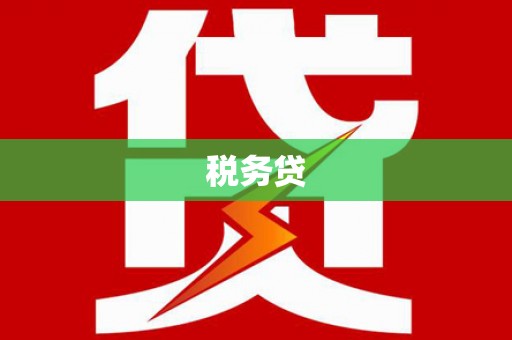 永清税务贷