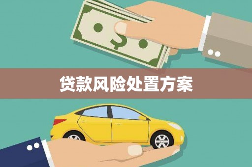 玉州贷款风险处置方案
