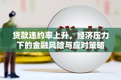 双溪贷款违约率上升，经济压力下的金融风险与应对策略