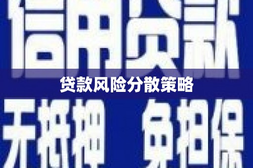 积石山贷款风险分散策略
