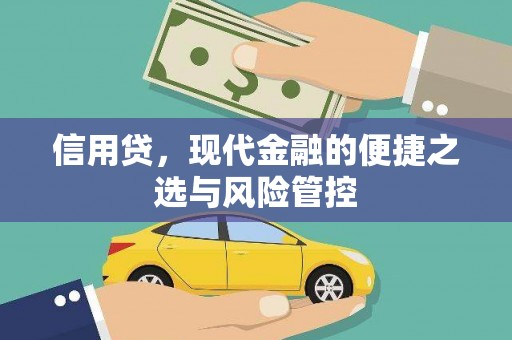 天元信用贷，现代金融的便捷之选与风险管控