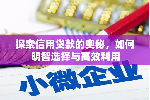 岑巩探索信用贷款的奥秘，如何明智选择与高效利用
