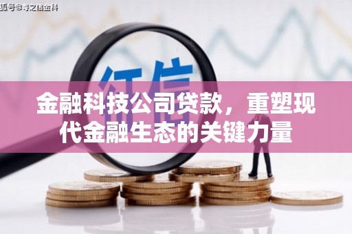 八宿金融科技公司贷款，重塑现代金融生态的关键力量