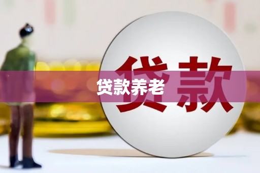 天津贷款养老