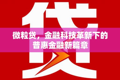 冕宁微粒贷，金融科技革新下的普惠金融新篇章