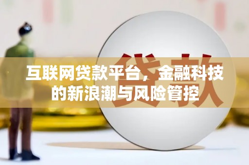 疏附互联网贷款平台，金融科技的新浪潮与风险管控