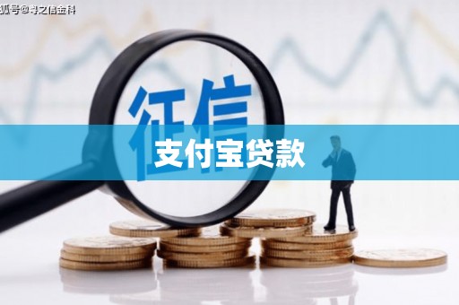 海安支付宝贷款