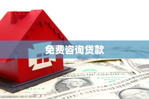 河口免费咨询贷款