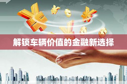 扶绥解锁车辆价值的金融新选择