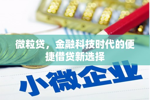 嘉祥微粒贷，金融科技时代的便捷借贷新选择