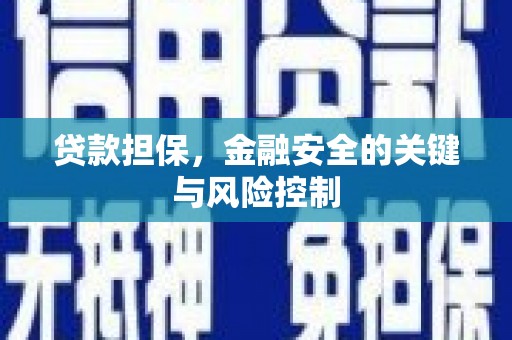 新乐贷款担保，金融安全的关键与风险控制