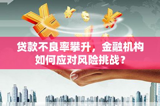 临沂贷款不良率攀升，金融机构如何应对风险挑战？