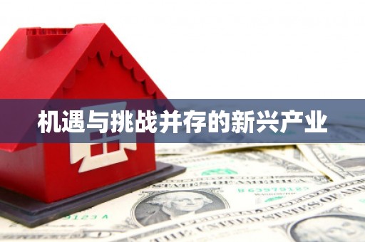 遂溪机遇与挑战并存的新兴产业
