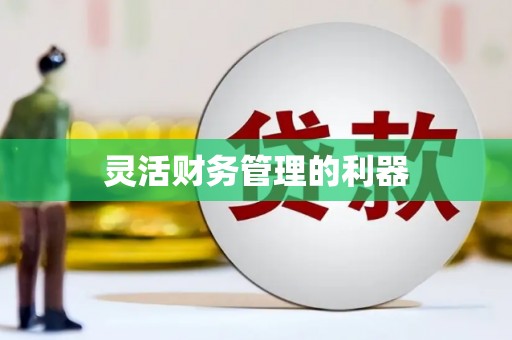 内湖灵活财务管理的利器