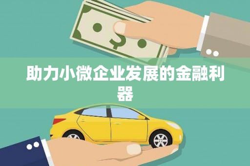 沙洋助力小微企业发展的金融利器