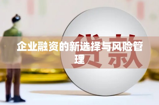 昌乐企业融资的新选择与风险管理