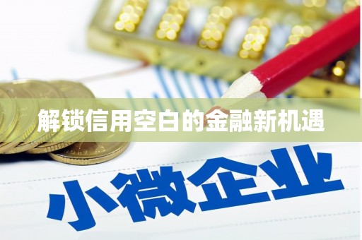 阜宁解锁信用空白的金融新机遇