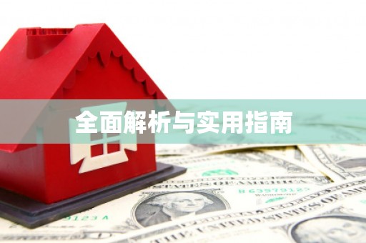 盐田全面解析与实用指南