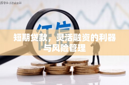 肇东短期贷款，灵活融资的利器与风险管理