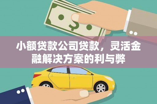 渭源小额贷款公司贷款，灵活金融解决方案的利与弊