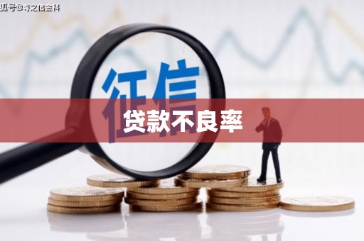 巧家贷款不良率