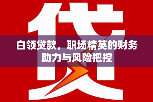 龙江白领贷款,职场精英的财务助力与风险把控 龙江白领贷款,职场精英的财务助力与风险把控