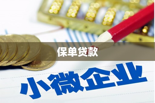 武义保单贷款 武义保单贷款